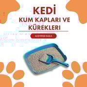 Kum Kapları ve Kürekler
